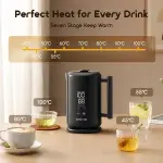 Oraimo FastBrew Fast Smart 1.7L 316 Stainless Steel Electric Kettle